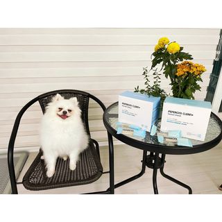 심쿵해에님이 올린 리뷰 사진 1