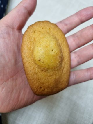 [메종콜리브리] 프랑스 마들렌 메종콜리브리 플레인 마들렌 2팩 — 5점을 준 리뷰어가 2022년 2월 올린 사용 사진