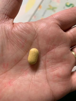 뉴트리션팩토리 비타프렙 바이탈원 종합비타민 멀티비타민 600mg — 5점을 준 리뷰어가 2021년 10월 올린 사용 사진
