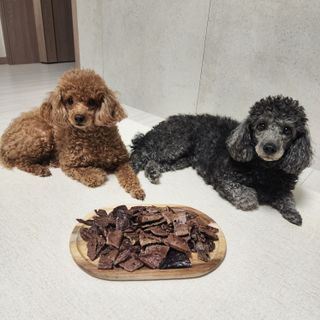 [졸리졸리]말 폐(HORSE LUNG) — 4.5점을 준 리뷰어가 2023년 1월 올린 사용 사진