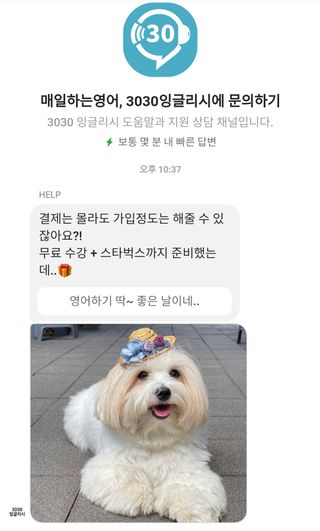 지니야님이 올린 리뷰 사진 1