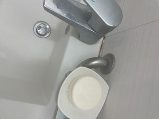 자이블 폼케이크 베이직 바질/피오니 — 5점을 준 리뷰어가 2021년 12월 올린 사용 사진