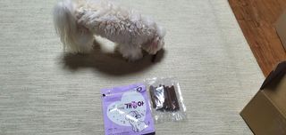My Pet Care 천연단백질 치아건강에 개좋아 — 5점을 준 리뷰어가 2021년 2월 올린 사용 사진