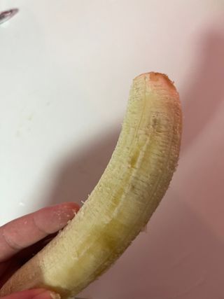 Hannarii님이 올린 리뷰 사진 1