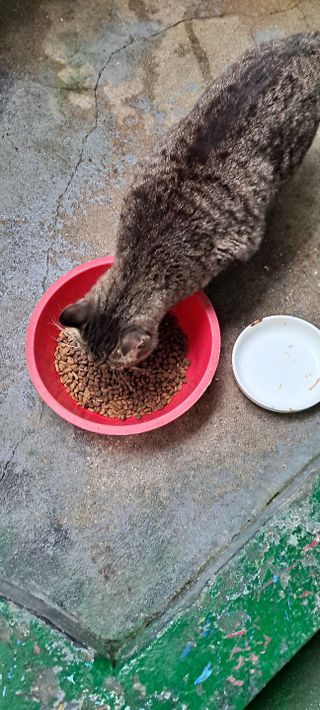 순덕아맘마먹자님이 올린 리뷰 사진 4