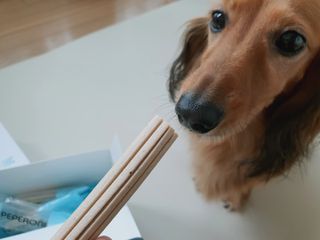 비비안언니님이 올린 리뷰 사진 3