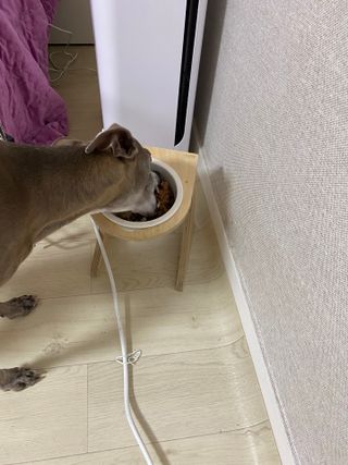 정봐기린님이 올린 리뷰 사진 1