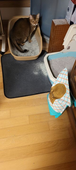 반짝님이 올린 리뷰 사진 2