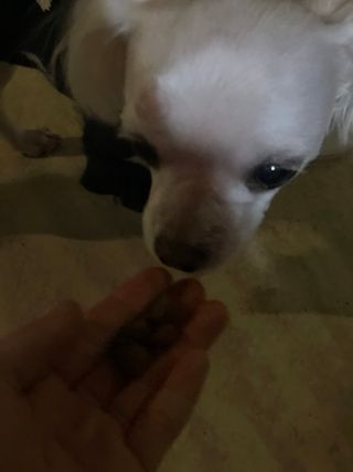 salamba님이 올린 리뷰 사진 3