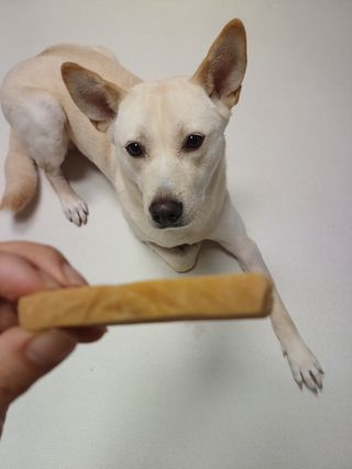 태가맘님이 올린 리뷰 사진 3