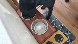 아들애미님이 올린 리뷰 사진 3