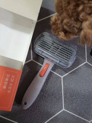 모떼네님이 올린 리뷰 사진 3
