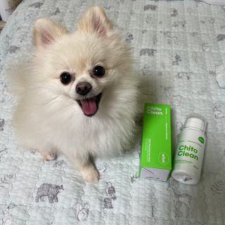 whol 키토클린 200ml - 항균항바이러스 강아지 눈 코 입 귀 세정탈취 고양이 턱드름제거 무향 워터리스 대용량 — 5점을 준 리뷰어가 2022년 10월 올린 사용 사진