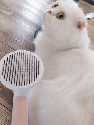 좋아님이 올린 리뷰 사진 2