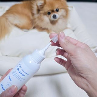 [댕모어 클리너 3종] 아이클리너 / 이어클리너 / 덴탈클리너 3종 세트 (120ml) — 5점을 준 리뷰어가 2023년 10월 올린 사용 사진