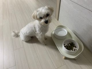수성님이 올린 리뷰 사진 1