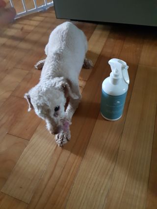 누맘누맘님이 올린 리뷰 사진 3