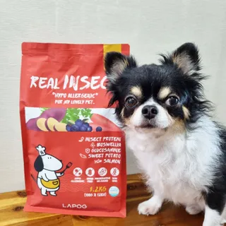 [푸디웜] 라포그  리얼인섹트 관절 저알러지 강아지 사료  1.2KG — 5점을 준 리뷰어가 2022년 8월 올린 사용 사진