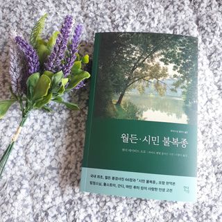 로샤님이 올린 리뷰 사진 1