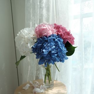 리자몽님이 올린 리뷰 사진 2