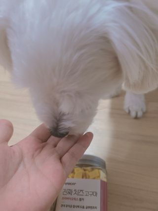 페페로니 진짜 프리바이오틱스 치즈+치즈고구마 180g+180g — 3점을 준 리뷰어가 2021년 7월 올린 사용 사진