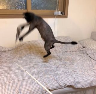수린님이 올린 리뷰 사진 3