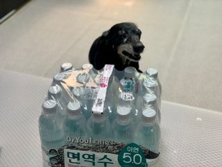 콩이누나님이 올린 리뷰 사진 2