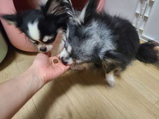 마이훈님이 올린 리뷰 사진 4