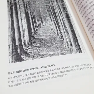 햎08님이 올린 리뷰 사진 4