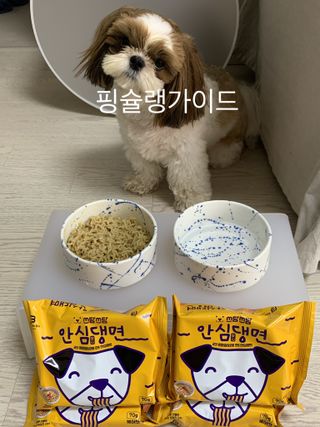 안심댕면 강아지라면 5봉지+쓰담쓰담 종합영양제 2스틱 샘플 증정 — 5점을 준 리뷰어가 2022년 8월 올린 사용 사진
