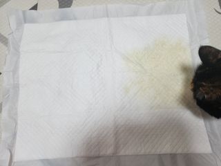 솔탄이love님이 올린 리뷰 사진 4
