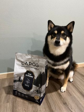 [푸디웜] 라포그 리얼인섹트 소프트키블 스킨 1KG — 5점을 준 리뷰어가 2022년 10월 올린 사용 사진