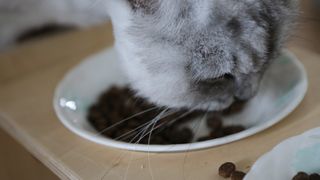 필쏘굿님이 올린 리뷰 사진 3