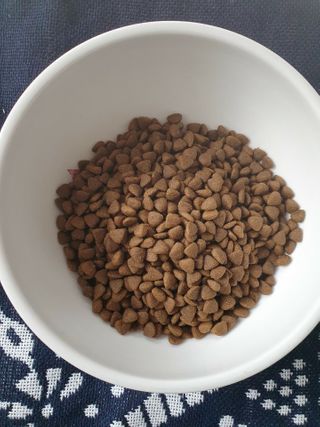 땡자엄마님이 올린 리뷰 사진 3