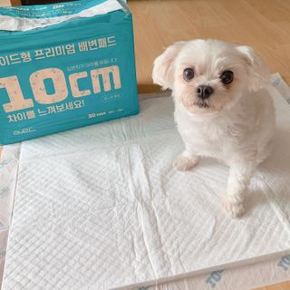 아베크 펫 와이드 프리미엄 대형 애견 강아지 배변 패드 30매 1팩 80g — 5점을 준 리뷰어가 2021년 7월 올린 사용 사진