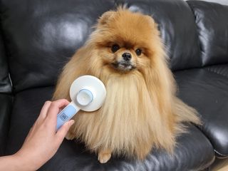아롱이님이 올린 리뷰 사진 1