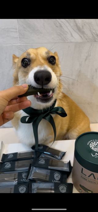 마리네집님이 올린 리뷰 사진 4