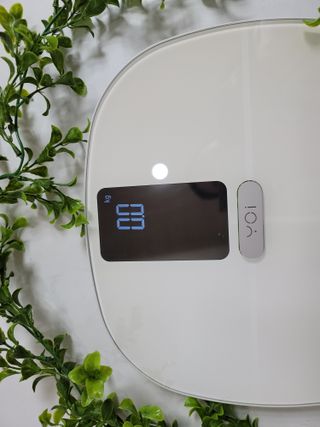 김경옥님이 올린 리뷰 사진 2