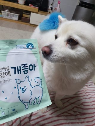 My Pet Care 천연단백질 눈건강에 개좋아 — 5점을 준 리뷰어가 2021년 2월 올린 사용 사진