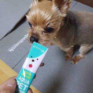 펫시랩 반려견용 액상 프리바이오틱스 아쿠아펫 — 5점을 준 리뷰어가 2021년 1월 올린 사용 사진
