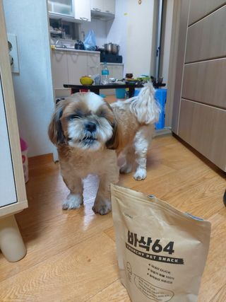 [보헤리] 국내산 강아지 육포간식 바삭 64 2종 — 5점을 준 리뷰어가 2022년 4월 올린 사용 사진