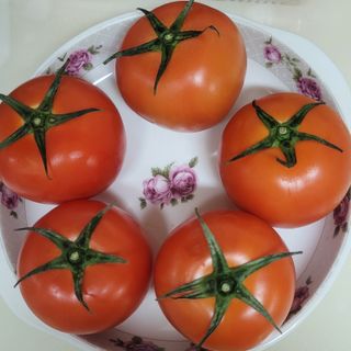 쌈자를몰라님이 올린 리뷰 사진 2