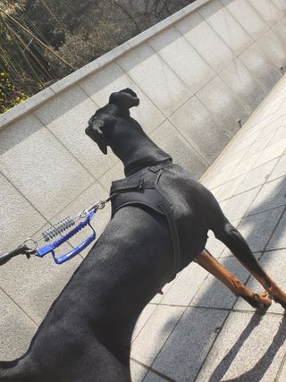 다다님이 올린 리뷰 사진 2