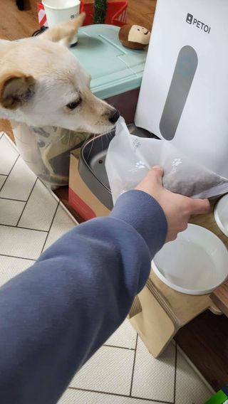 비누님이 올린 리뷰 사진 4