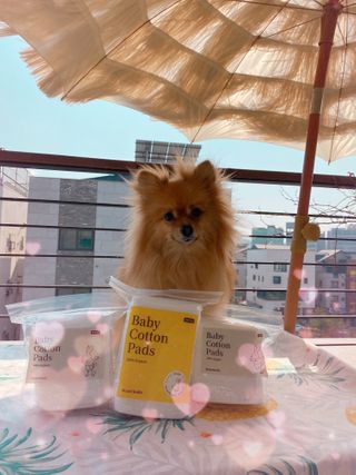 디어엘로디 프리미엄 유기농 베이비 솜티슈 40매 3 + 1 PACK — 4.5점을 준 리뷰어가 2021년 2월 올린 사용 사진