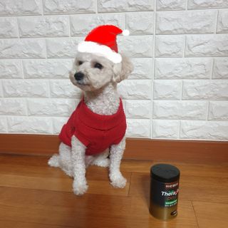 민동2님이 올린 리뷰 사진 1