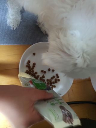 단츄♡님이 올린 리뷰 사진 2