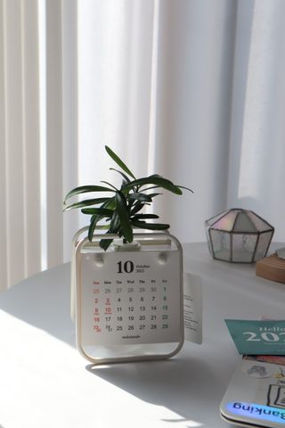 [메이크정글] 식물과 달력이 하나로, 2023년 식물캘린더 No.1 — 5점을 준 리뷰어가 2022년 10월 올린 사용 사진