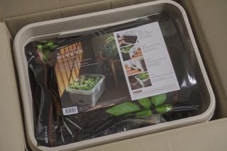 푸르링세화님이 올린 리뷰 사진 2