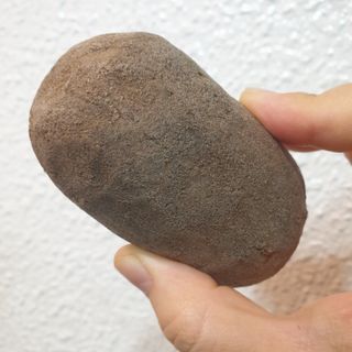 선뚱이님이 올린 리뷰 사진 4